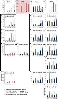 Sphingolipid Long-Chain Base Phosphate Degradation Can Be a Rate-Limiting Step in Long-Chain Base Homeostasis